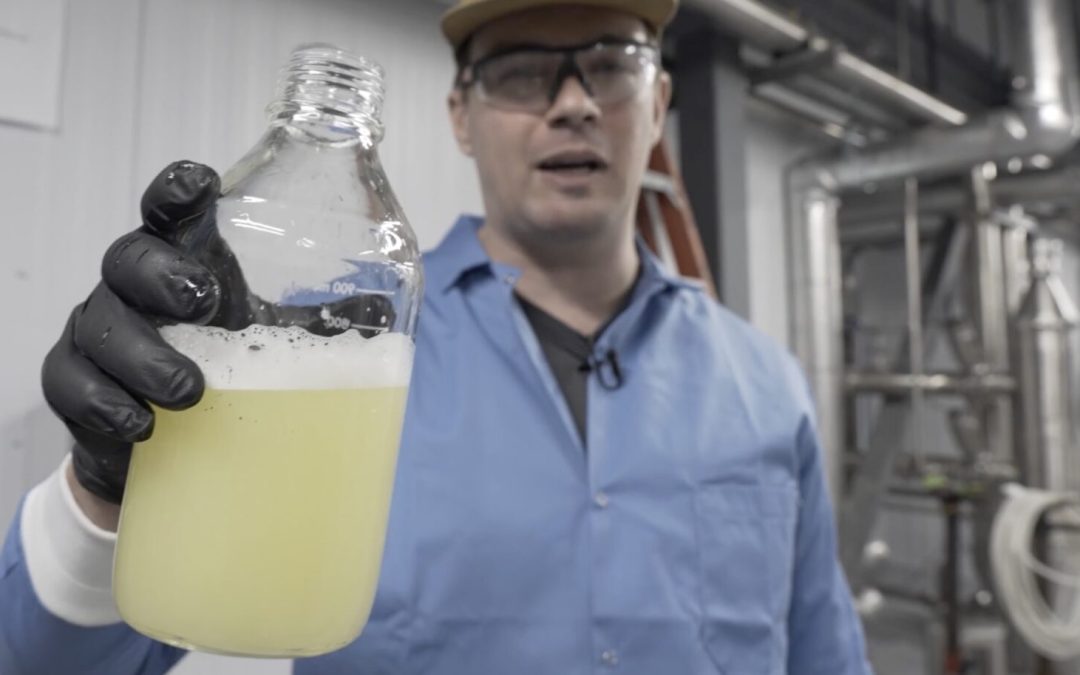 Low-Carbon, Dairy-Based Ethanol